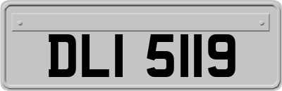 DLI5119