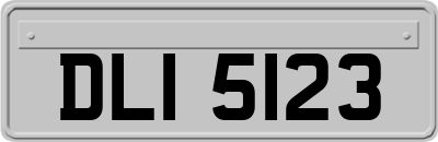 DLI5123