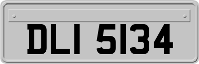 DLI5134