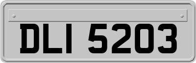 DLI5203