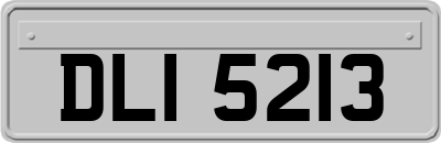 DLI5213