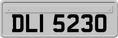DLI5230