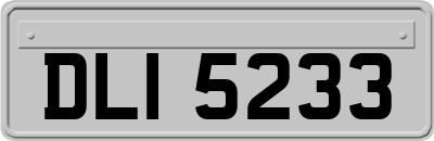 DLI5233