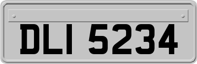 DLI5234