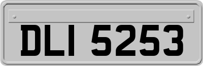 DLI5253