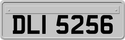 DLI5256