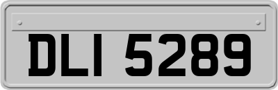 DLI5289