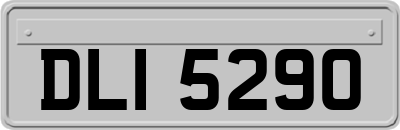 DLI5290