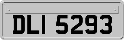 DLI5293