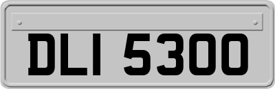 DLI5300