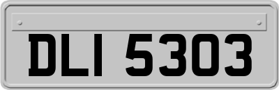 DLI5303