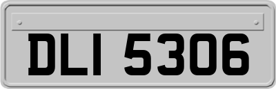 DLI5306