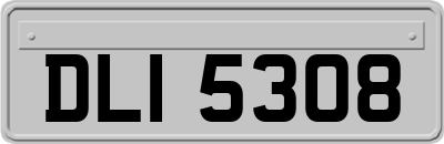DLI5308