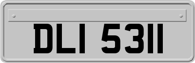 DLI5311