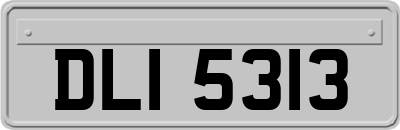 DLI5313