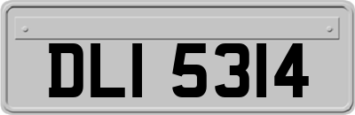 DLI5314