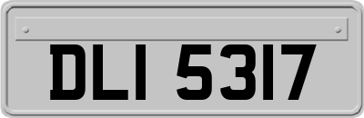 DLI5317