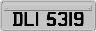 DLI5319