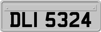 DLI5324