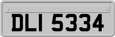 DLI5334