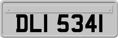 DLI5341