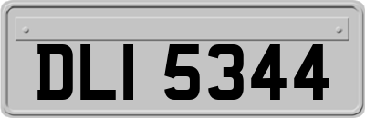 DLI5344