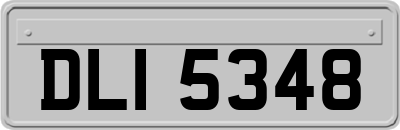 DLI5348