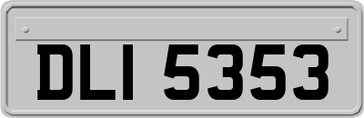 DLI5353