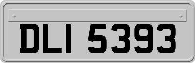 DLI5393