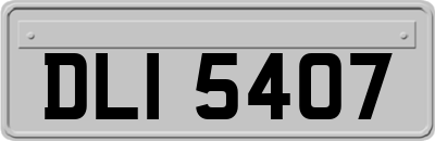 DLI5407