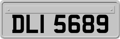 DLI5689