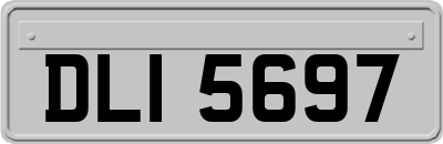 DLI5697