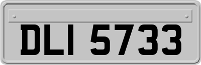 DLI5733