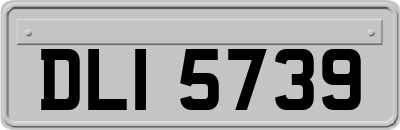 DLI5739
