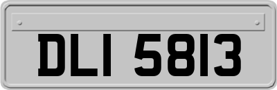 DLI5813