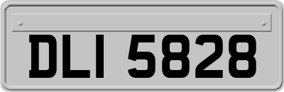 DLI5828