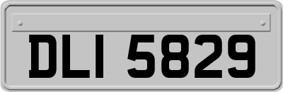 DLI5829