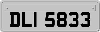 DLI5833
