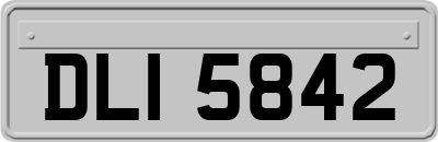 DLI5842