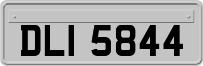 DLI5844