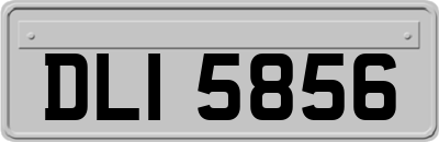 DLI5856