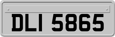 DLI5865