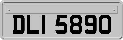 DLI5890