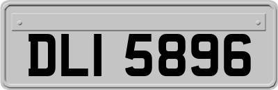 DLI5896