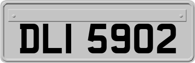 DLI5902