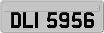 DLI5956