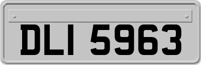 DLI5963