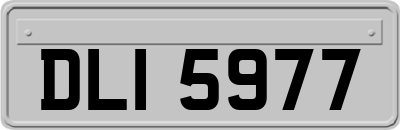 DLI5977