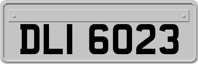 DLI6023