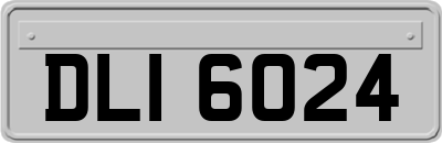 DLI6024